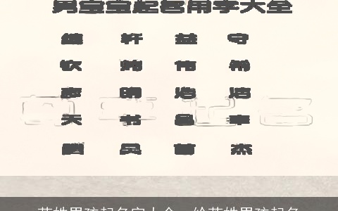 芮姓男孩起名字大全，给芮姓男孩起名