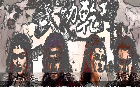 桃花劫是什么意思，桃花劫是什么意思什么叫桃花劫