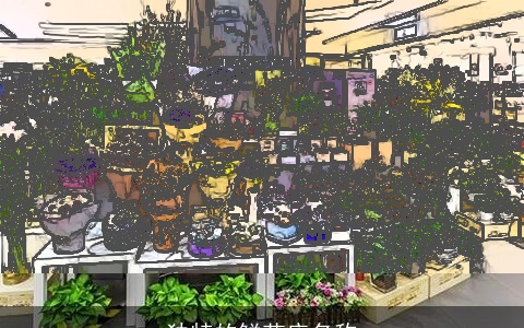 独特的鲜花店名称