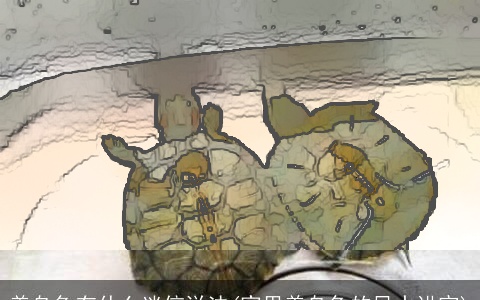 养乌龟有什么迷信说法(家里养乌龟的风水讲究)