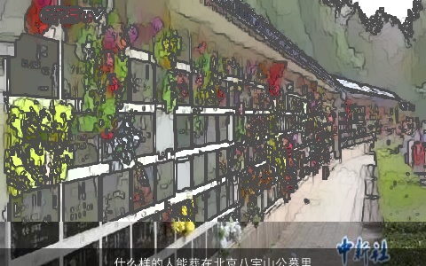 什么样的人能葬在北京八宝山公墓里(八宝山人民公墓是属于什么样的人)