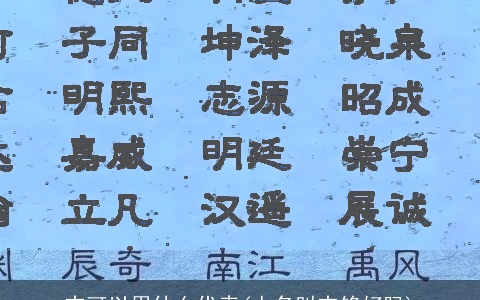 志可以用什么代表(人名叫志铭好吗)