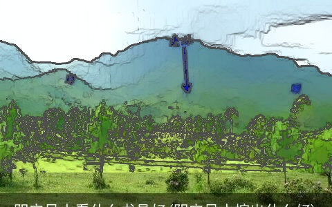 阴宅风水看什么书最好(阴宅风水挖出什么好)