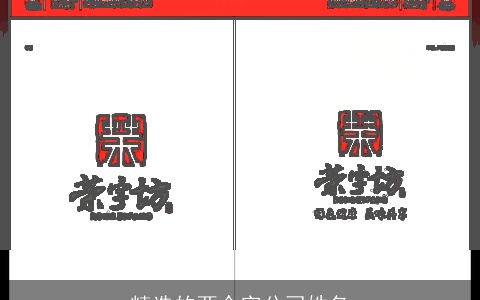 精选的两个字公司姓名