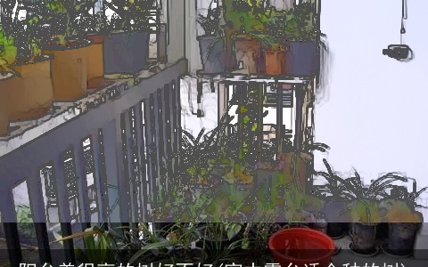 阳台养很高的树好不好(家中露台适合种的树)