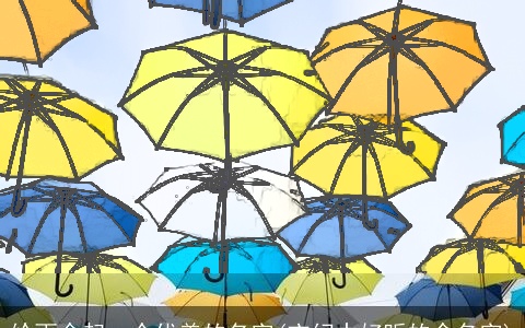 给雨伞起一个优美的名字(玄幻中好听的伞名字)