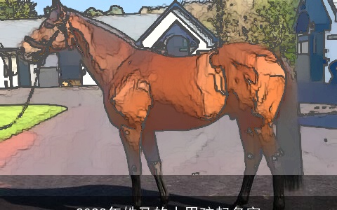 2023年姓马的小男孩起名字