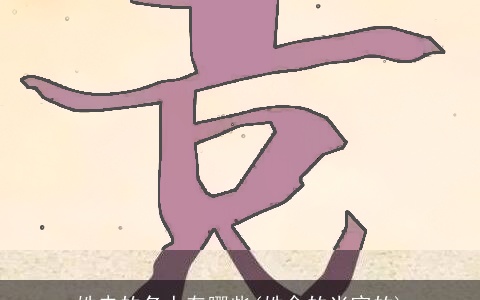 姓史的名人有哪些(姓金的当官的)