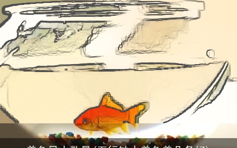 养鱼风水数量(五行缺水养鱼养几条好)