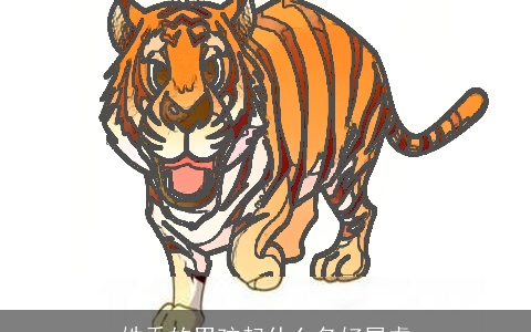 姓乔的男孩起什么名好属虎