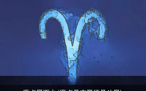 廉贞属丁火(廉贞是吉星还是凶星)