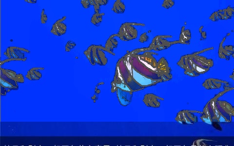 梦见和别人一起买鱼什么意思 梦见和别人一起买鱼是什么预兆