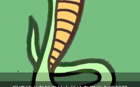 猴遇蛇必有钱有什么说法有哪些合理解释