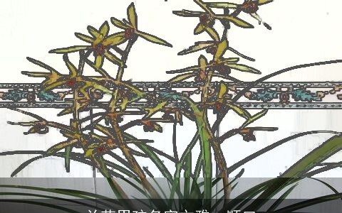 兰花男孩名字文雅、顺口