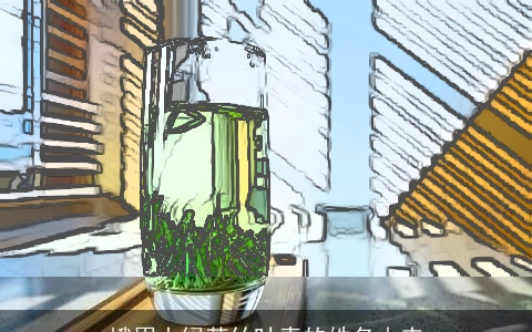 峨眉山绿茶竹叶青的姓名由来