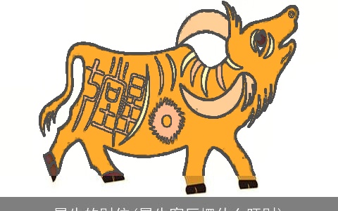 属牛的财位(属牛客厅摆什么旺财)