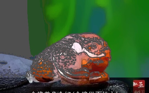 金蟾养几个好(金蟾供不供水)