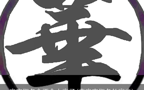 宸字取名会不会太高了(奕宸字取名的寓意)