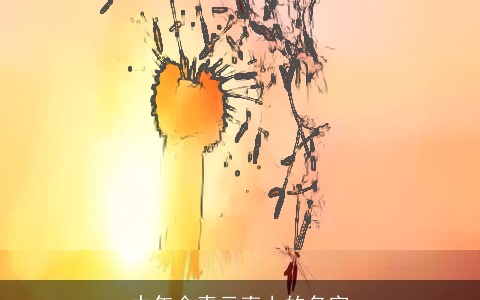 中年会青云直上的名字