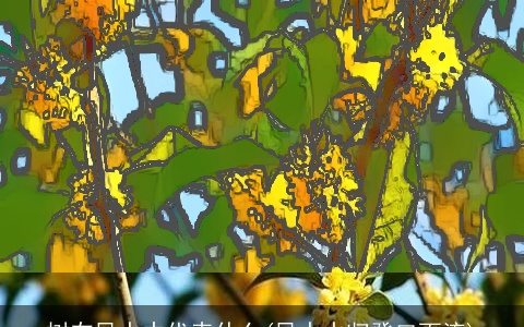 树在风水中代表什么(风水水归癸口而流)