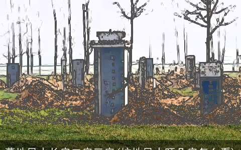 墓地风水长房二房三房(坟地风水旺几房怎么看)