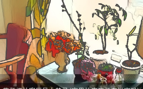 花瓶摆放客厅风水禁忌(家里放空花瓶有讲究吗)