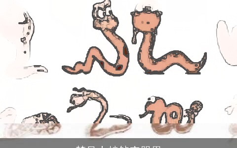 梦见小蛇钻衣服里