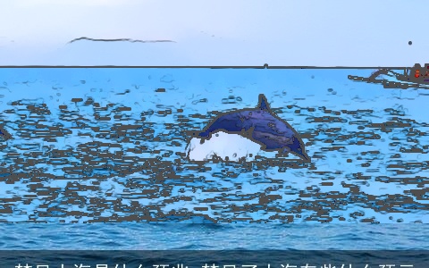 梦见大海是什么预兆 梦见了大海有些什么预示