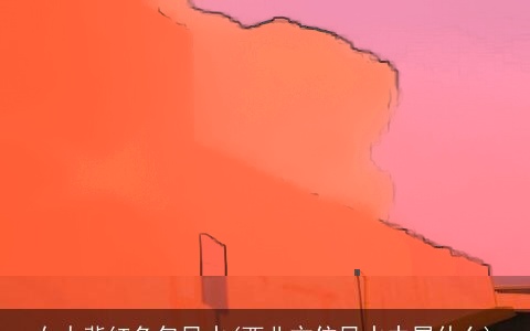 女人背红色包风水(西北方位风水中属什么)