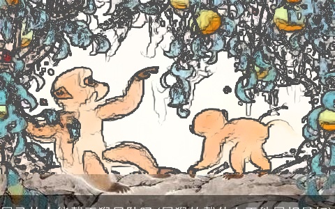 属马的人能戴玉猴吊坠吗(属猴的戴什么玉件属相最好)