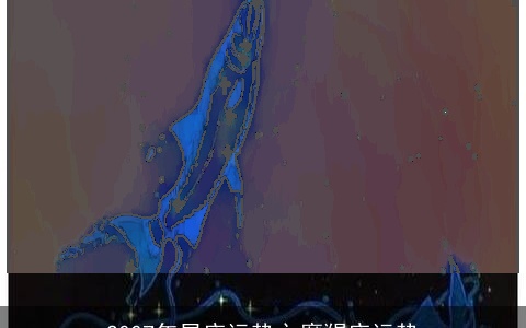 2007年星座运势之摩羯座运势