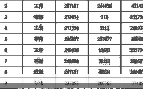 取名字带王旁的有(名字带玉的男名人)