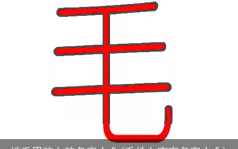 姓毛男孩女孩名字大全(毛姓女宝宝名字大全)