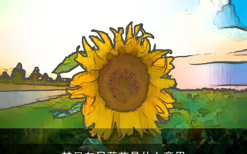 梦见向日葵花是什么意思