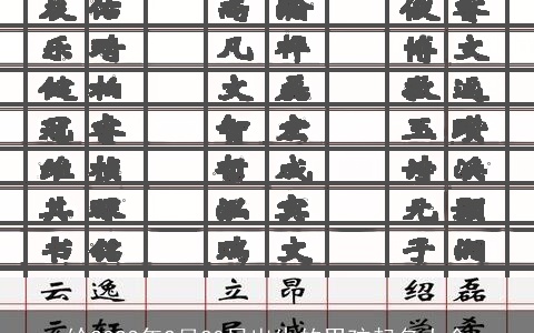 给2023年2月20日出生的男孩起名大全