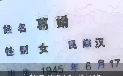 卞姓男孩子姓名大全，姓卞取名