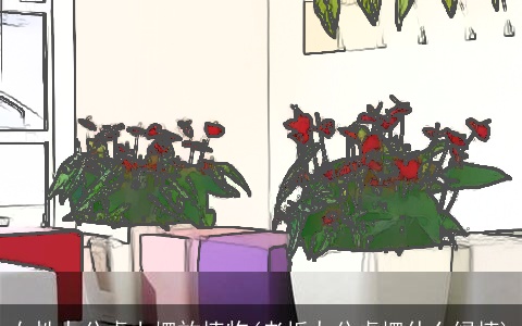 女性办公桌上摆放植物(老板办公桌摆什么绿植)