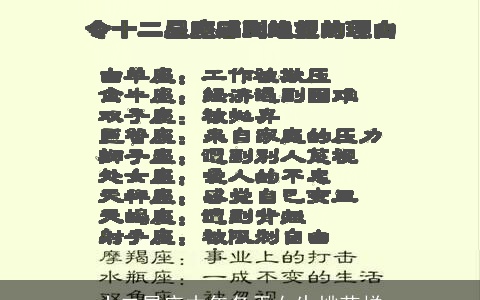 十二星座本年冬天女生桃花样