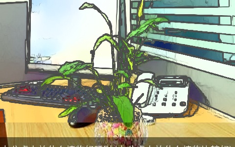 办公桌上放什么植物好旺财(办公桌上放什么植物比较好)