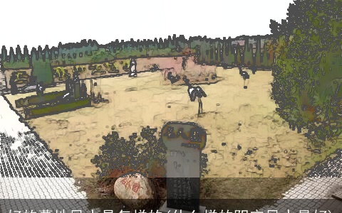 好的墓地风水是怎样的(什么样的阴宅风水最好)