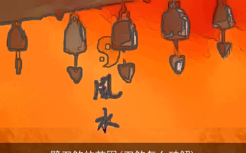 壁刀煞的范围(刀煞怎么破解)