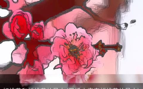 好桃花和烂桃花的风水(已婚夫妻有烂桃花的风水)