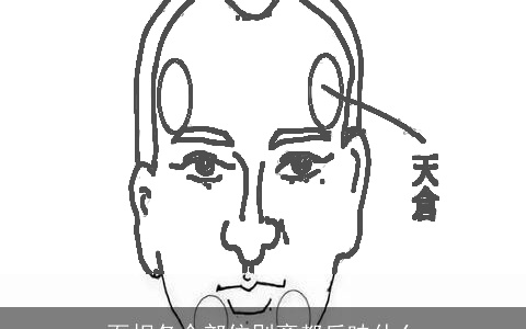 面相各个部位别离都反映什么