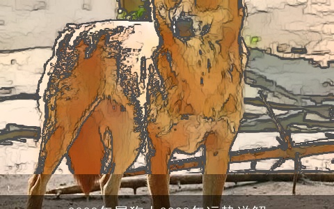 2023年属狗人2020年运势详解