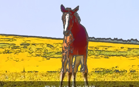 属马人的命运详解