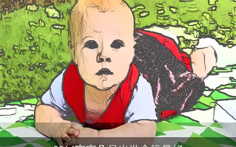 2014宝宝几月出世命运最好