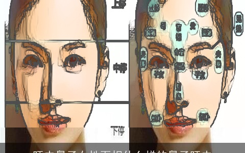 旺夫鼻子女性面相什么样的鼻子旺夫