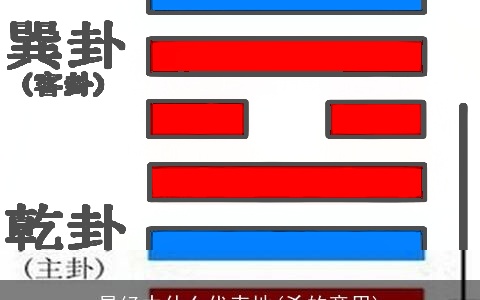 易经中什么代表地(爻的意思)
