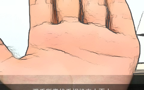 双手断掌的手相机率大不大