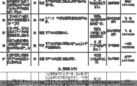 辅商是什么项目(大学辅教是做什么的)